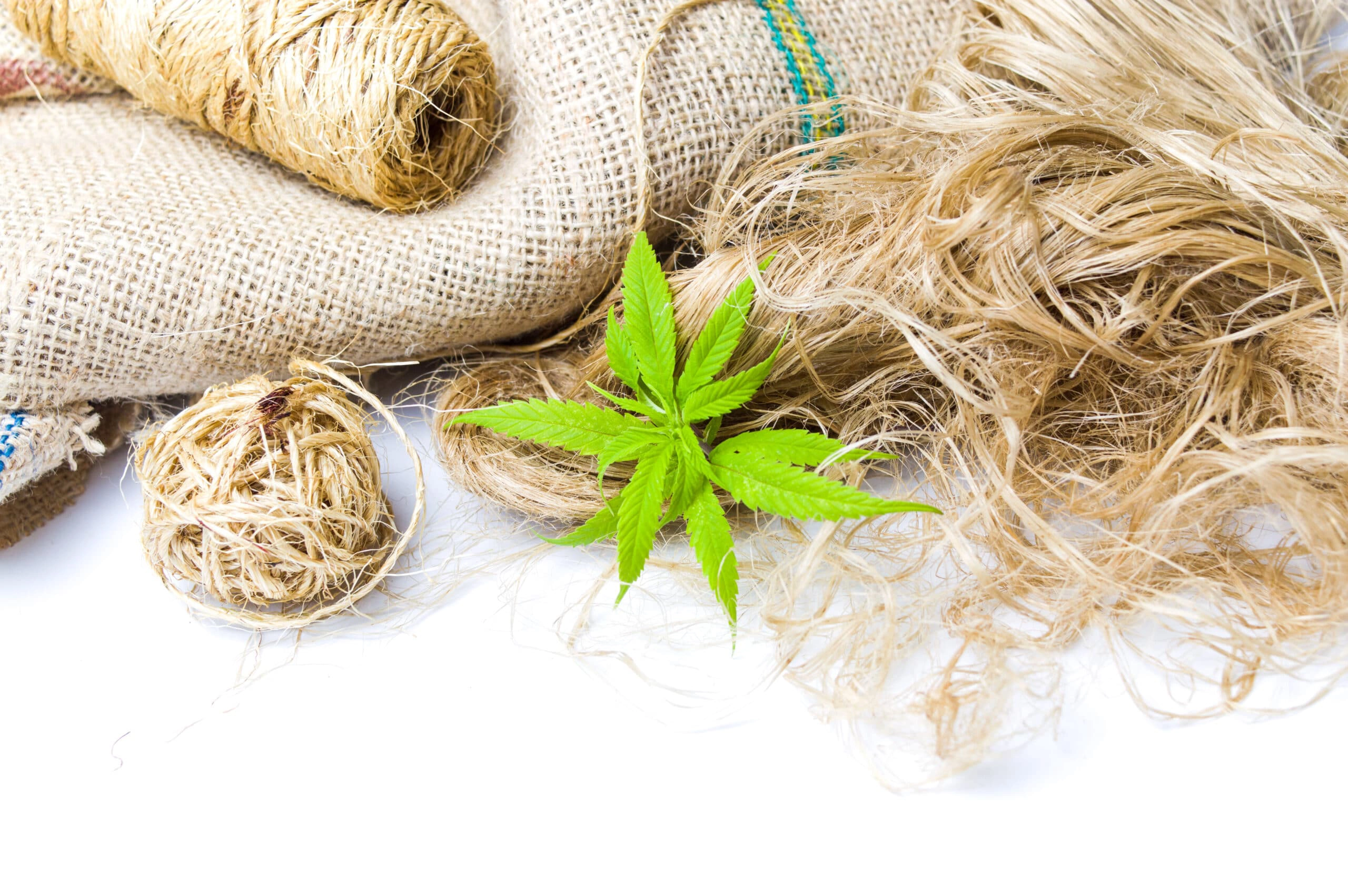 Hemp: From Ancient Crop to Modern Marvel