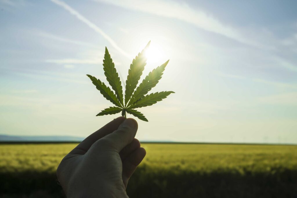 Cannabis and Mindfulness in London, Ontario, Lambeth, Main Street.