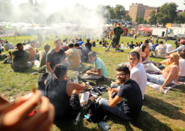 cannabis use in social settings